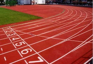 杭州奥伯公司 塑胶跑道建设工程施工的卓越领航者
